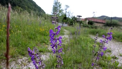 12. Pantano all'italiana