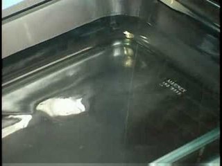 Explicando o Tempo - El Niño (2006)