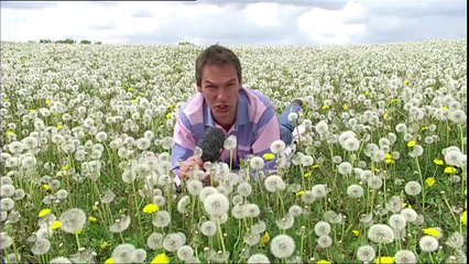 Kieler Woche TV - Die Story: Der Wettermann - Meeno Schrader