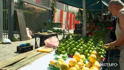 Conservação de Alimentos no Calor
