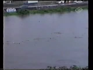 Meteorologista Laura Ferreira em entrevista ao Jornal da Gazeta