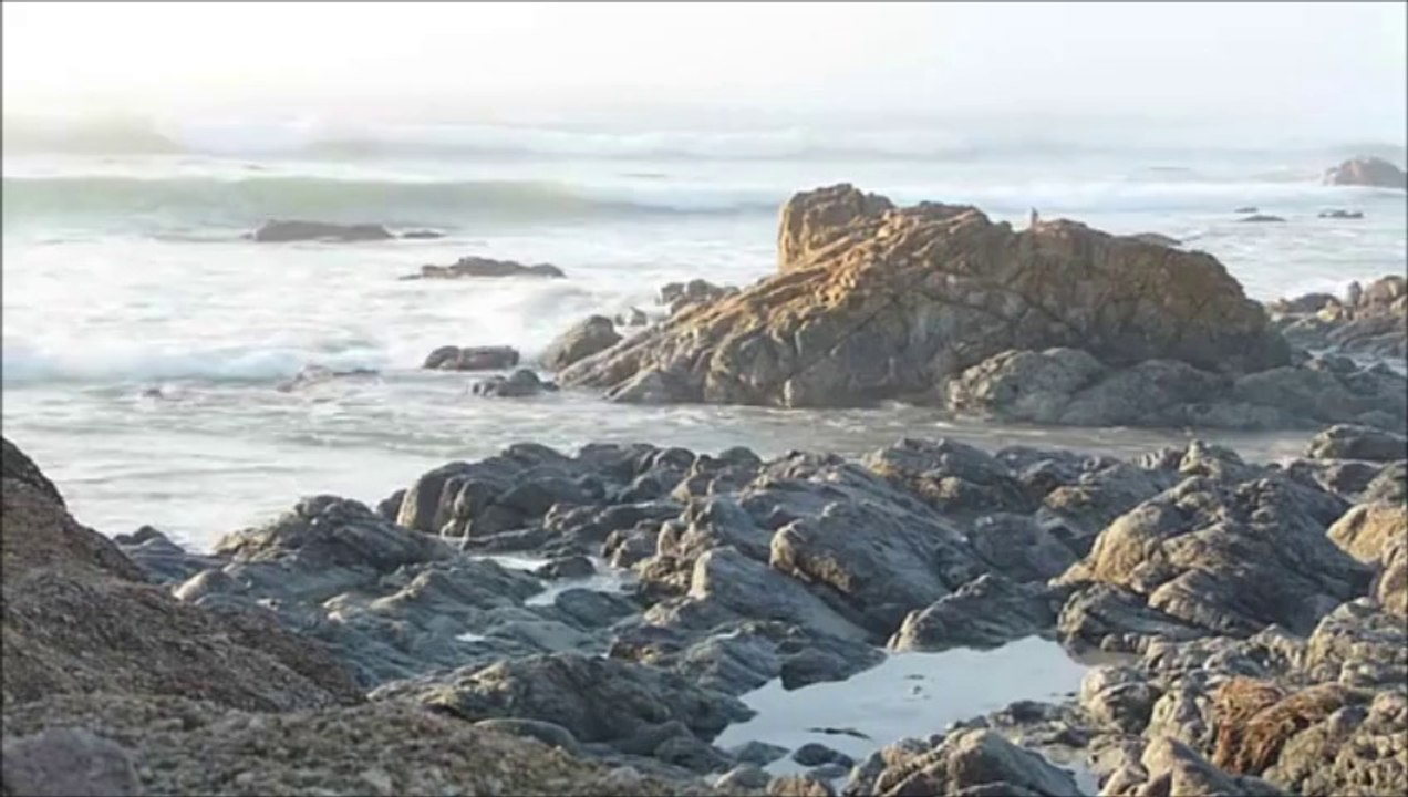 Cali Coast