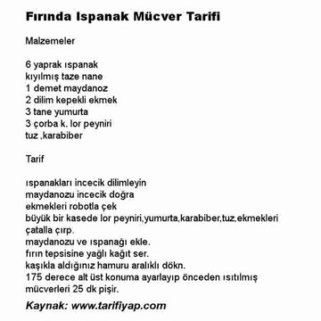 Fırında Ispanak Mücver Tarifi