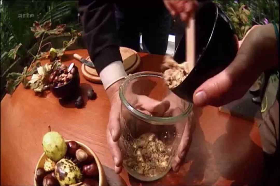 Bienfaits des chataignes et marrons