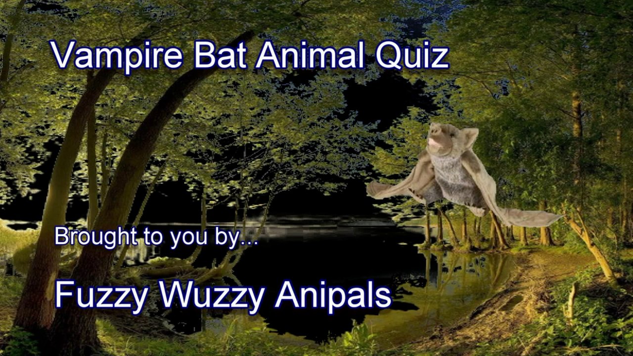 Vampire Bat Animal Quiz