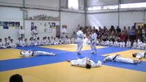 Cérémonie des ceintures 2013-2014  JUDO SHOW