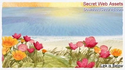 Secret Web Assets Free PDF - Download Here