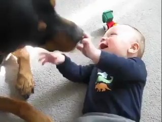 Cachorro + Bebe = Você irá vomitar arco-iris!