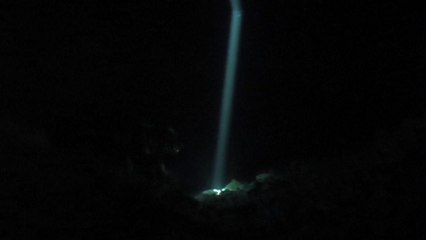 DENIZEN: DESCENT ep.1 "Into the Dark"