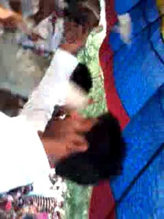 mela
