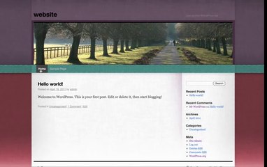 The working style of our custom wordpress and plugin developers