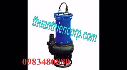 Tel./0983480880*/Máy bơm chìm nước thải Tsurumi KTZ22.2, bơm hố móng Tsurumi
