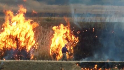 Rice Fields Burning in Japan!