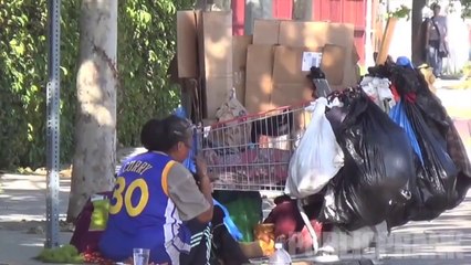 Lo que siembras cosechas