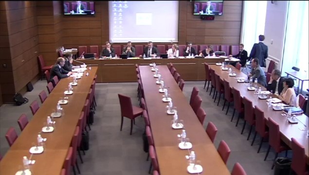 Audition de MM. Ludovic Crouvizier et Guillaume Monier, gérants, commissaires aux comptes, associés, du cabinet Orcom - Jeudi 26 Juin 2014