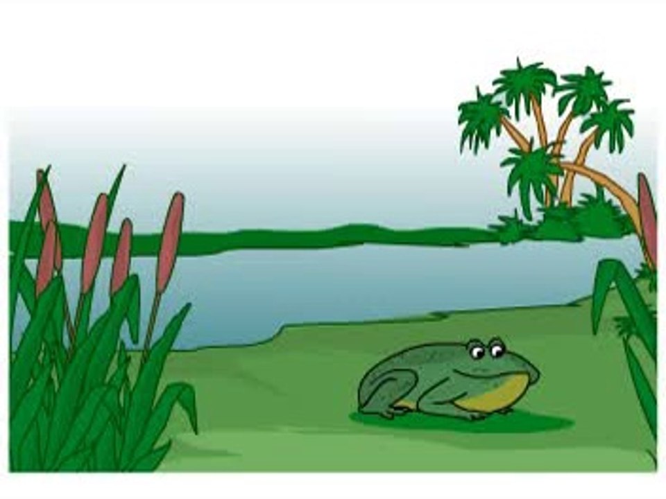 Frog Jump