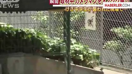 Japonya'da Domuz Muhabire Saldırdı