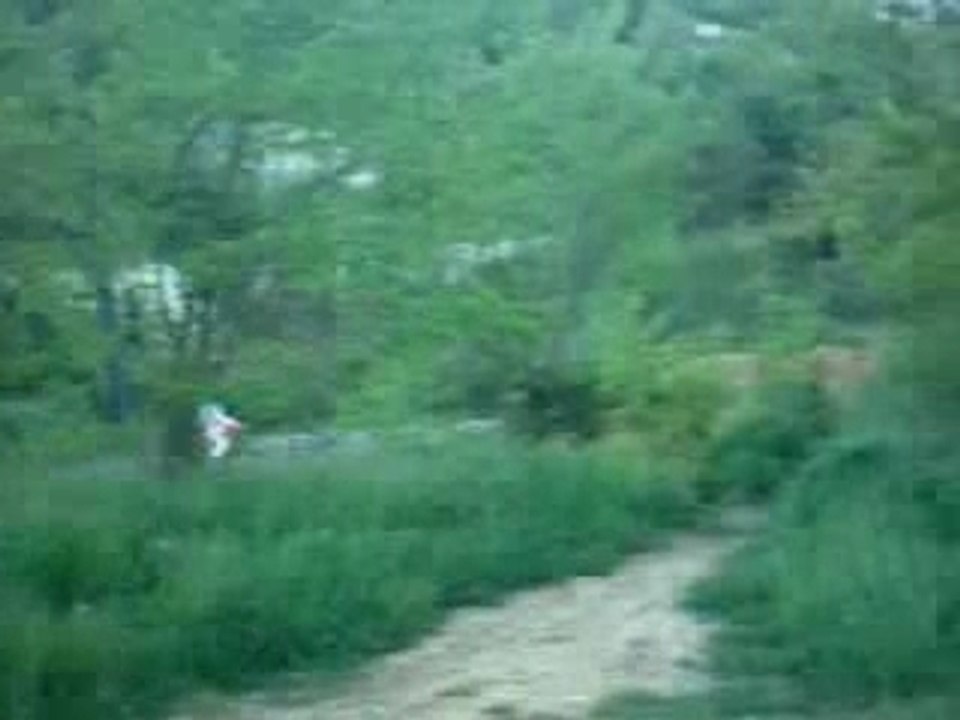 cr 250