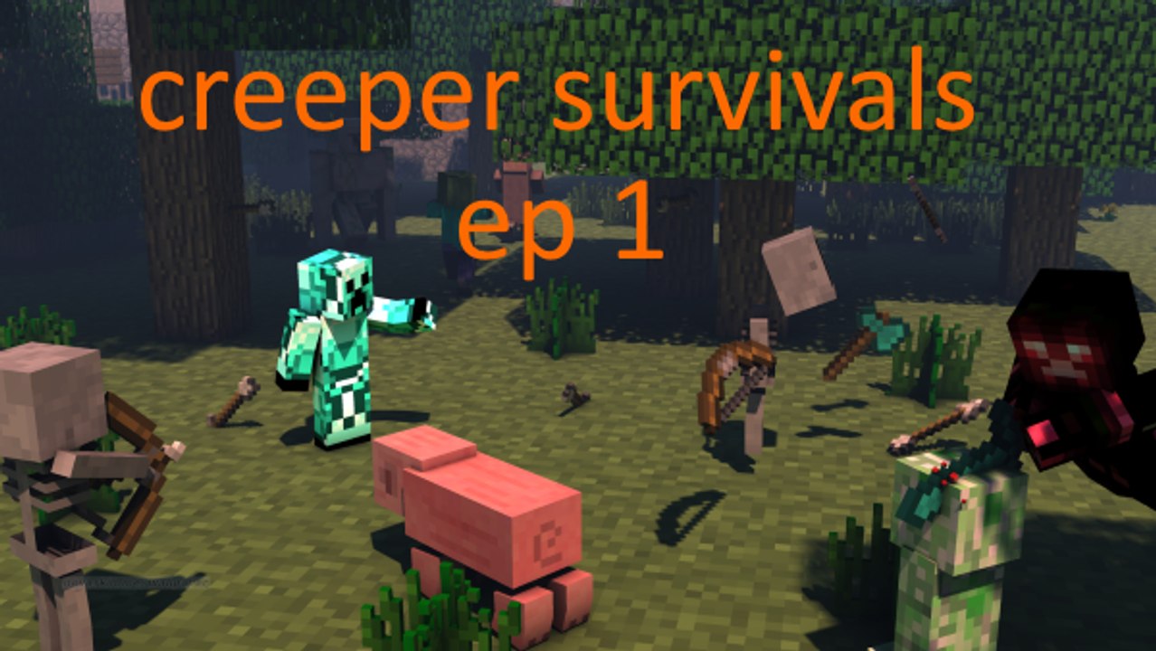 survie 1 : Du diamant !!!