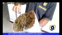 Sette quintali di marijuana sequestrati nel Salento