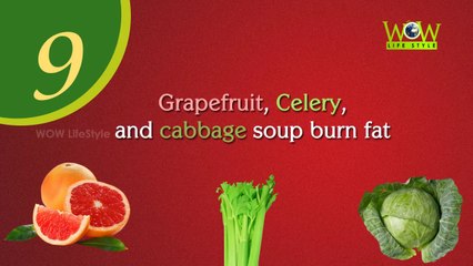 Top 10 Diet Tips For Healthy Living