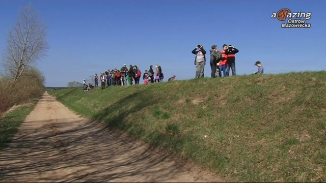 XII Spotkania Ornitologiczne Ostrów Mazowiecka 2014