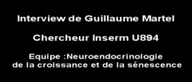 Présentation de Guillaume Martel, Chercheur contractuel Inserm U894