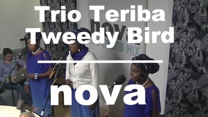 Live Néo Géo :  Trio Teriba - Tweedy Bird