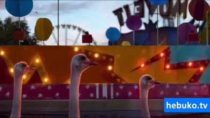 biraz adrenalin onların da hakkı değil mi ama? :D - süper bir video!