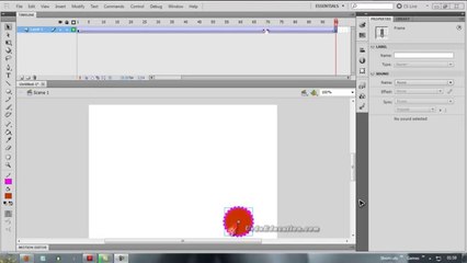 adobe flash cs5 complete urdu clases3