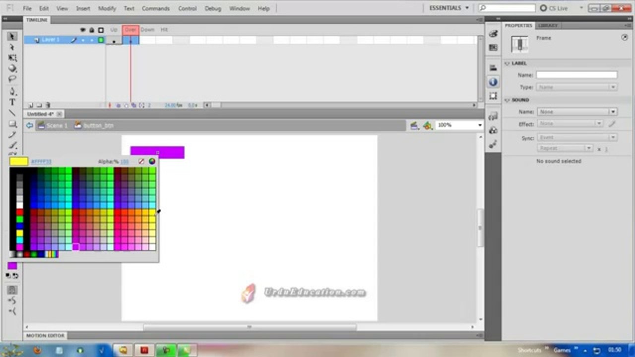 adobe flash cs5 complete urdu clases5