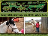 Horse Cart Sale : Buggy Bobs Carriage Co.