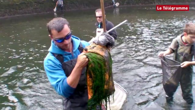 Quimper. La pêche en fête ce week-end