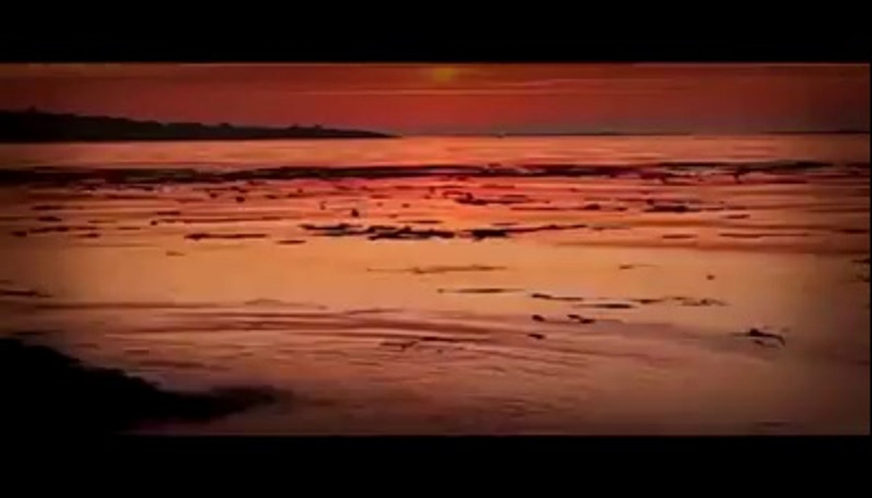 Qandeel Short Film ,,