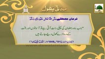 Madani Phool 3 - Ramzan ul Mubarak Ki Pehli Raat (1)