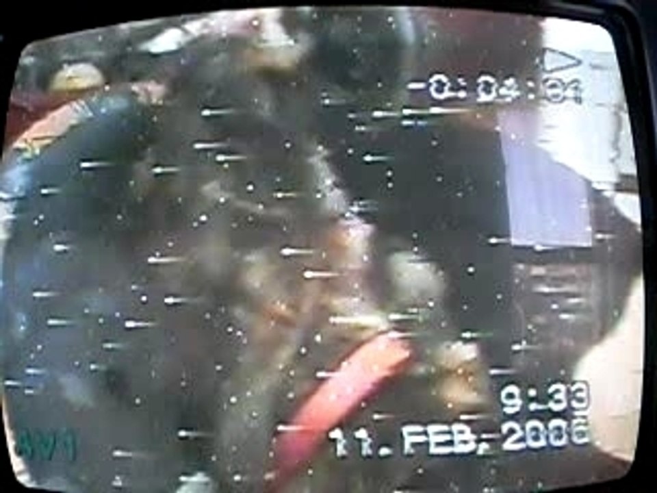 Vidéo (1)