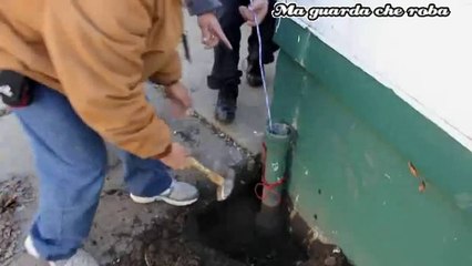 Cucciolo intrappolato nel tubo di scarico