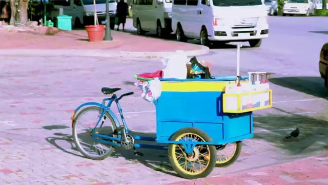 Villas and Holiday Apartments in Barbados for Rent