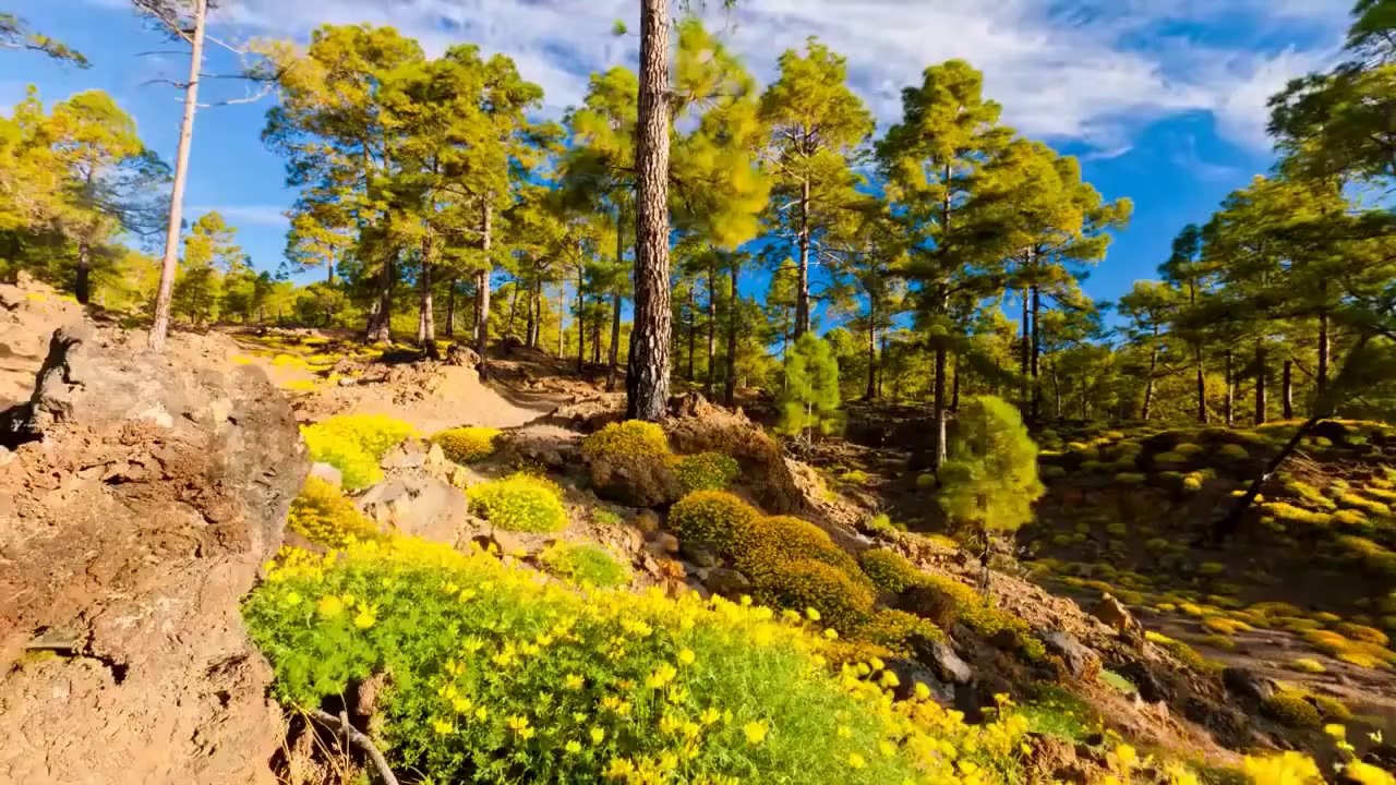 Igor Krutoy - Music for the soul