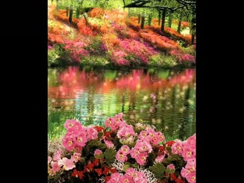 Abdurrahman Önül - Koy Bizide Cennetine