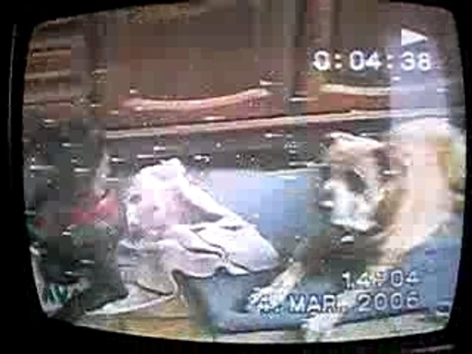 Vidéo (2)