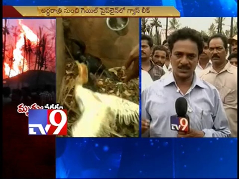 GAIL officials did not heed warnings on gas leak - A.P Deputy CM Chinna Rajappa