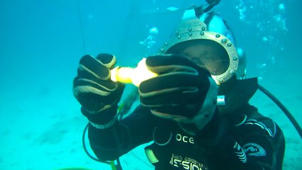 What Happens When You Crack An Egg Underwater