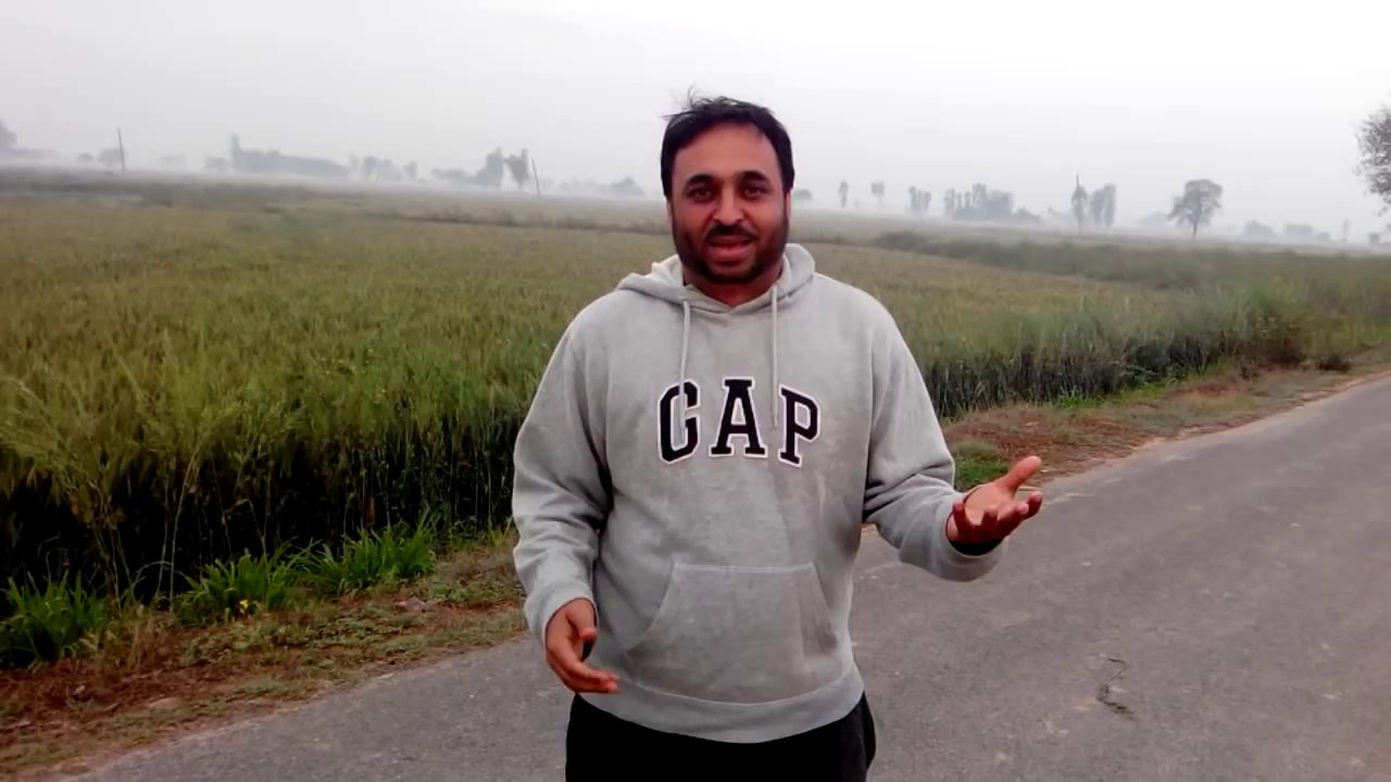 Bhagwant Mann apne khetan vich (HD)