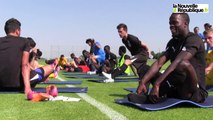 VIDEO. Foot : les premiers pas de Régis Brouard, nouvel entraîneur des Chamois niortais