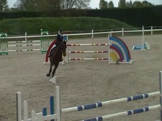 Jument 8ans Think Twice d'ici / Bayard d'Elle