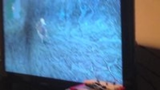 Dodging 200 Lightning Bolts in FFX with Arduino