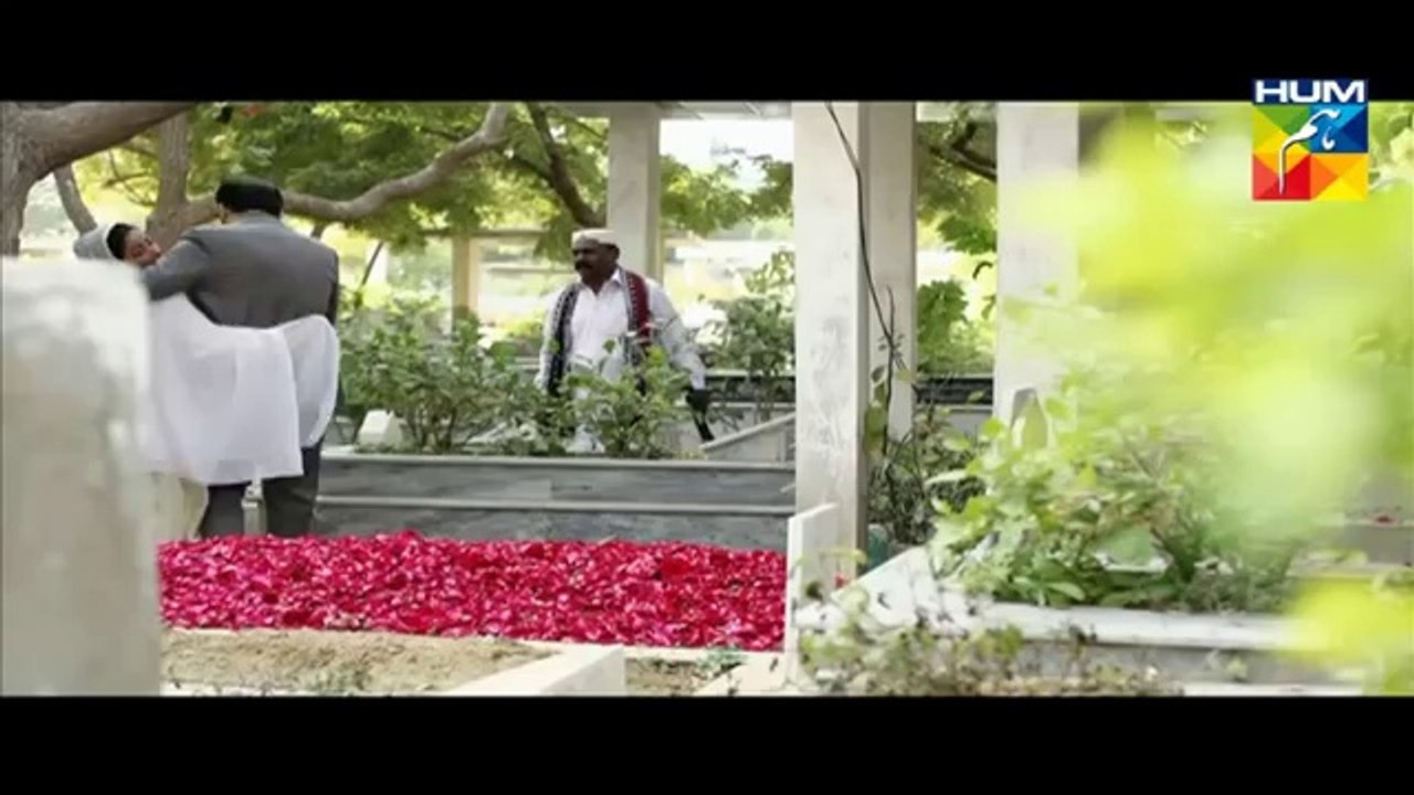 Bhool Episode 12 HUM TV Drama
