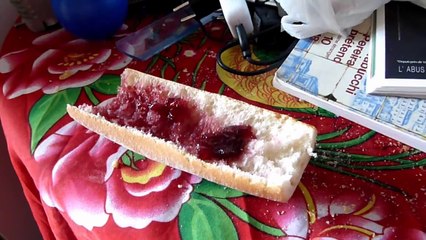 Le Grand Voyage Sur Place - Jour 1 - 27 juin 2014