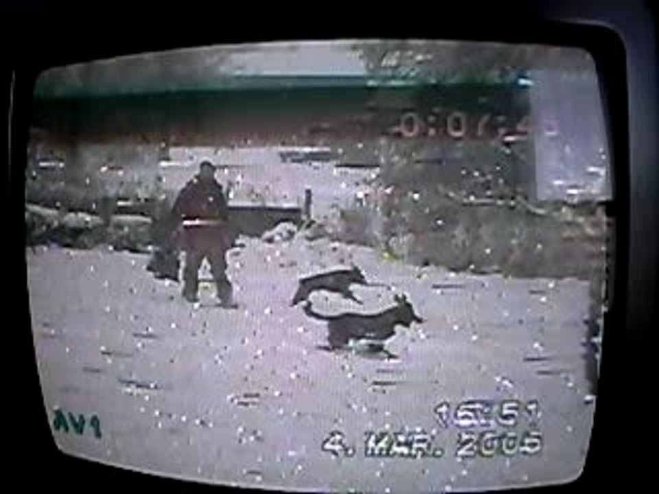 Vidéo (2)